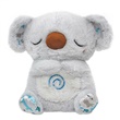 Calm Koala - Polibrinq